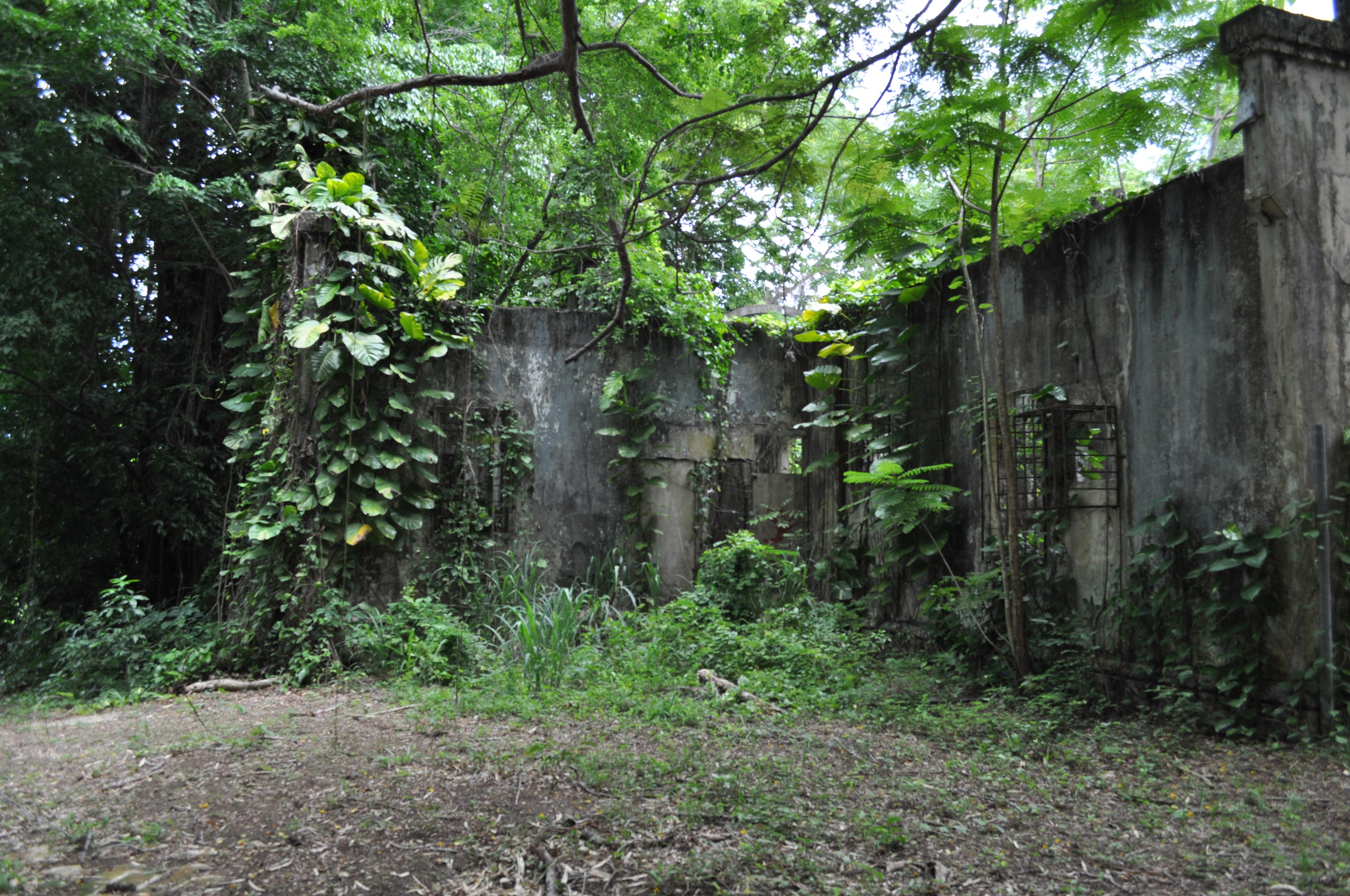 Antigua Lechería y Residencia de la Facultad de la Universidad de Puerto Rico - San Juan (Río Piedras) - 2014 00042